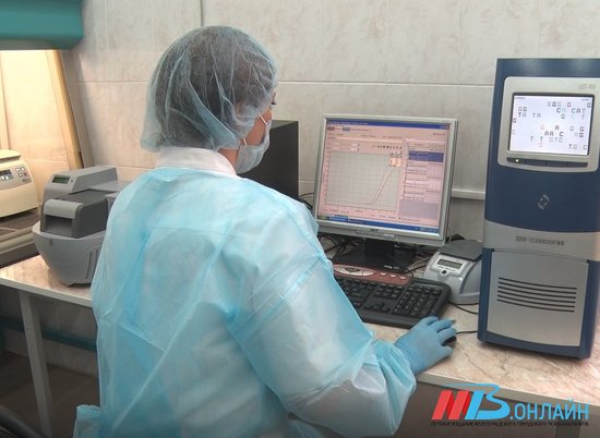 В Волгоградской области зафиксировано 186 случаев заражения коронавирусом